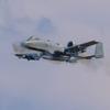 
							69 лучших фотографий с Air Defender 2023 &ndash; завершились самые масштабные военные учения в истории НАТО с участием десятков самолётов, включая F-35, F-15, F-16 и A-10
						