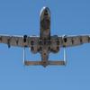 
							Штурмовики A-10 Thunderbolt II смогут нести 16 высокоточных бомб GBU-39/B SDB после обновления программного обеспечения
						