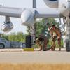 
							69 лучших фотографий с Air Defender 2023 &ndash; завершились самые масштабные военные учения в истории НАТО с участием десятков самолётов, включая F-35, F-15, F-16 и A-10
						