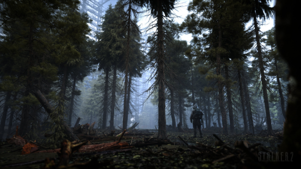 
						Что такое STALKER 2: GSC Game World ответили на&nbsp;главные вопросы фанатов
					