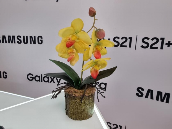 
						Флагманская линейка Samsung Galaxy S21 и наушники Galaxy Buds Pro своими глазами
					