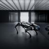 
						Xiaomi представила своего первого робопса CyberDog: это экспериментальный робот с открытым исходным кодом не для всех
					