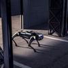 
						Xiaomi представила своего первого робопса CyberDog: это экспериментальный робот с открытым исходным кодом не для всех
					