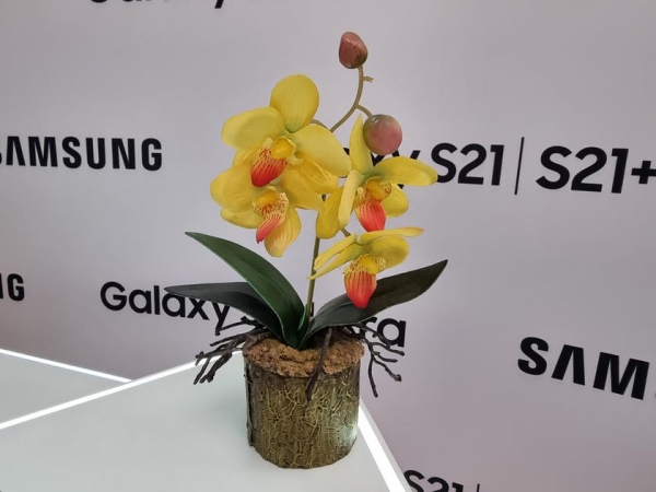 
						Флагманская линейка Samsung Galaxy S21 и наушники Galaxy Buds Pro своими глазами
					