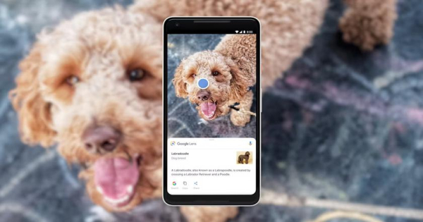 Видео на YouTube можно найти с помощью камеры: Google Lens на YouTube теперь доступен на Android Видео на YouTube можно найти с помощью камеры: Google Lens на YouTube теперь доступен на Android