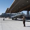 
							Штурмовики A-10 Thunderbolt II смогут нести 16 высокоточных бомб GBU-39/B SDB после обновления программного обеспечения
						