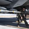 
							Штурмовики A-10 Thunderbolt II смогут нести 16 высокоточных бомб GBU-39/B SDB после обновления программного обеспечения
						