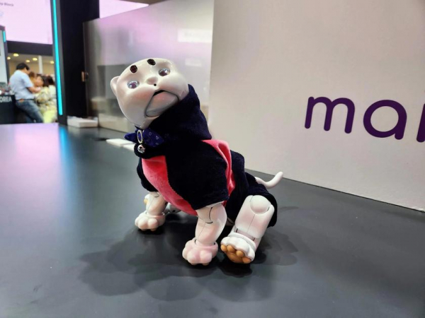 
						На&nbsp;IFA 2022 показали няшного робота-кота MarsCat, который чувствует прикосновения, реагирует на&nbsp;голоса и&nbsp;играет с&nbsp;игрушками
					