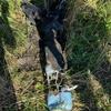 ЗРК «Бук-М1» сжёг редкий российский разведывательный дрон класса «Птеро» (видео)
ЗРК «Бук-М1» сжёг редкий российский разведывательный дрон класса «Птеро» (видео)