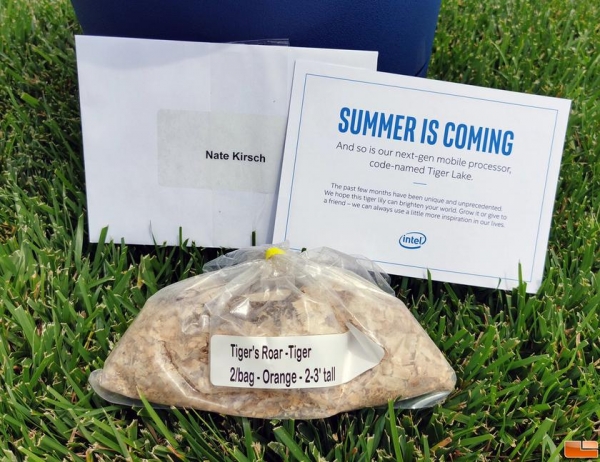 Intel анонсировала выход новых процессоров Tiger Lake с помощью горшка и луковиц цветов
Intel анонсировала выход новых процессоров Tiger Lake с помощью горшка и луковиц цветов