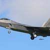 США отправили в Нидерланды истребители F-35 Lightning II для проведения совместных учений
США отправили в Нидерланды истребители F-35 Lightning II для проведения совместных учений