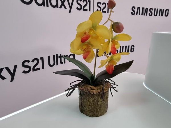 
						Флагманская линейка Samsung Galaxy S21 и наушники Galaxy Buds Pro своими глазами
					