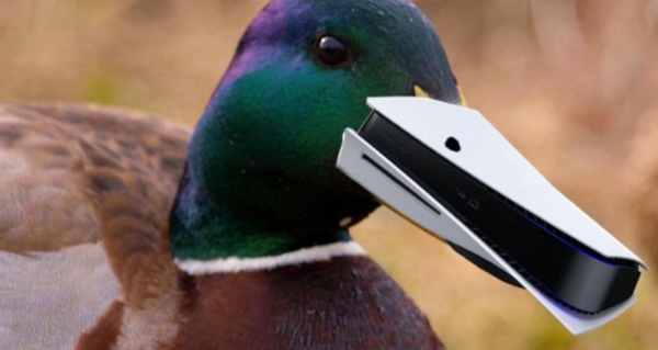 
						Роутер, утка и&nbsp;смерть Xbox: как интернет встретил PlayStation 5 (очень мемно)
					