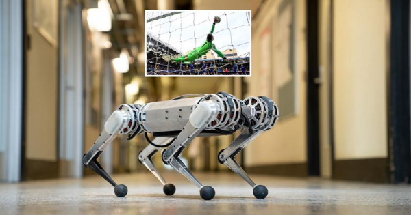 Роботизированный пёс Mini Cheetah стал футбольным вратарём – он защищает ворота эффективнее, чем голкиперы ЕПЛ
Роботизированный пёс Mini Cheetah стал футбольным вратарём – он защищает ворота эффективнее, чем голкиперы ЕПЛ