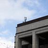 
						В Беларуси запустили первую сеть 5G
					