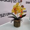 
						Флагманская линейка Samsung Galaxy S21 и наушники Galaxy Buds Pro своими глазами
					