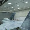 
							ВВС США показали истребитель F-15E Strike Eagle в камуфляже с изображением пилота, который уничтожил 17 немецких самолётов во время Второй мировой войны
						