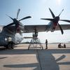 
							69 лучших фотографий с Air Defender 2023 &ndash; завершились самые масштабные военные учения в истории НАТО с участием десятков самолётов, включая F-35, F-15, F-16 и A-10
						