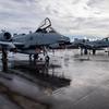 
							69 лучших фотографий с Air Defender 2023 &ndash; завершились самые масштабные военные учения в истории НАТО с участием десятков самолётов, включая F-35, F-15, F-16 и A-10
						