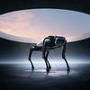 
						Xiaomi представила своего первого робопса CyberDog: это экспериментальный робот с открытым исходным кодом не для всех
					