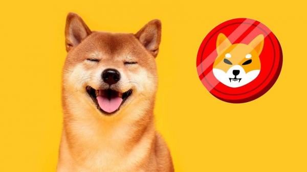 
						Пользователей интересует Shiba Inu &ndash; мемная криптовалюта стала популярнее, чем Bitcoin, Dogecoin и Ethereum
					
