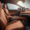 
						Skoda Enyaq iV: конкурент Tesla Model X с запасом хода до 510 км, разгоном 6.2 сек до 100 км/ч, 13-дюймовым дисплеем и ценником от 40 000 евро
					