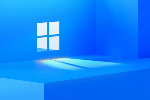 
						Инсайдер: новая операционная система Microsoft выйдет с названием Windows 11
					