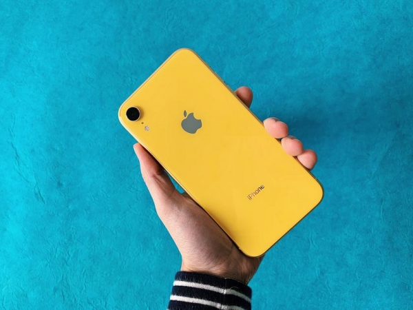 После выхода iPhone 12 Apple снизит ценник iPhone 11 и уберет из продажи iPhone XR и iPhone 11 Pro
После выхода iPhone 12 Apple снизит ценник iPhone 11 и уберет из продажи iPhone XR и iPhone 11 Pro