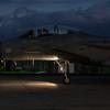 США запустили процесс вывода истребителей F-15 Eagle с авиабазы «Кадена» в Японии, где самолёты служили с 1979 года
США запустили процесс вывода истребителей F-15 Eagle с авиабазы «Кадена» в Японии, где самолёты служили с 1979 года
