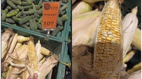 Известный супермаркет кормит украинцев кукурузой для скота Известный супермаркет кормит украинцев кукурузой для скота
