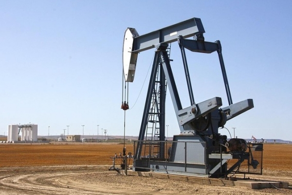 Обращение аграриев к президенту поддержали нефтегазовики Обращение аграриев к президенту поддержали нефтегазовики