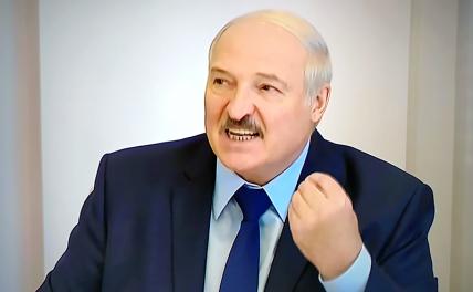 «Он не знал, что кроме Москвы нет союзников?»: в Киеве удивились реакции Лукашенко «Он не знал, что кроме Москвы нет союзников?»: в Киеве удивились реакции Лукашенко