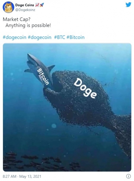 Твиттер заполонили мемы о влиянии Илона Маска на Bitcoin Твиттер заполонили мемы о влиянии Илона Маска на Bitcoin