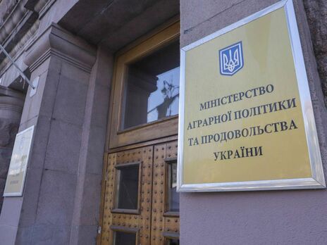 Украинским производителям картофеля планируют выделить государственную помощь – Минагрополитики Украинским производителям картофеля планируют выделить государственную помощь – Минагрополитики