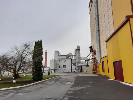 В Украине приватизировали первый государственный комбинат хлебопродуктов