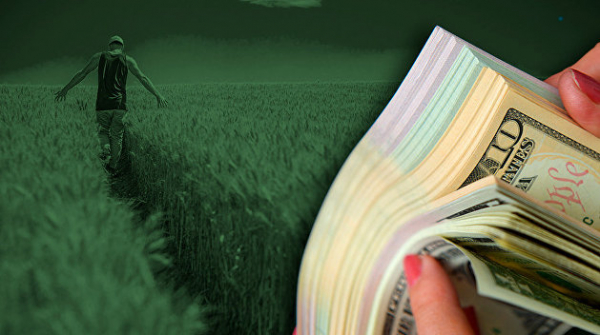 Зарегистрированы первые сделки по продаже земли на Украине после открытия рынка